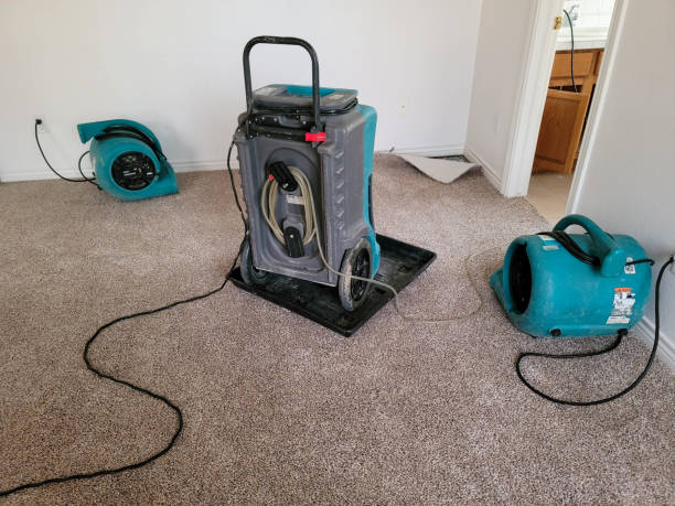Best Flooded house restoration  in Willis, TX