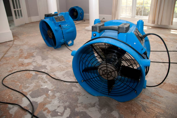 Sewage cleanup and water damage restoration in TX