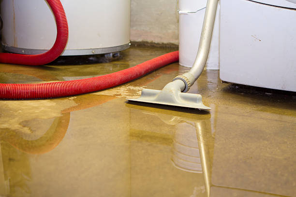 Local water damage restoration in TX