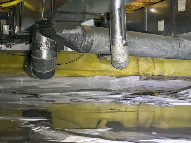 Best Carpet water damage restoration  in Willis, TX