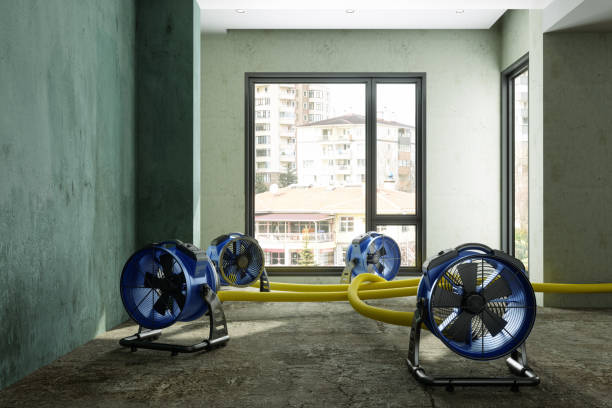 Best 24/7 water damage repair  in Willis, TX