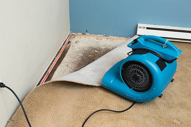 Best Residential water damage restoration  in Willis, TX